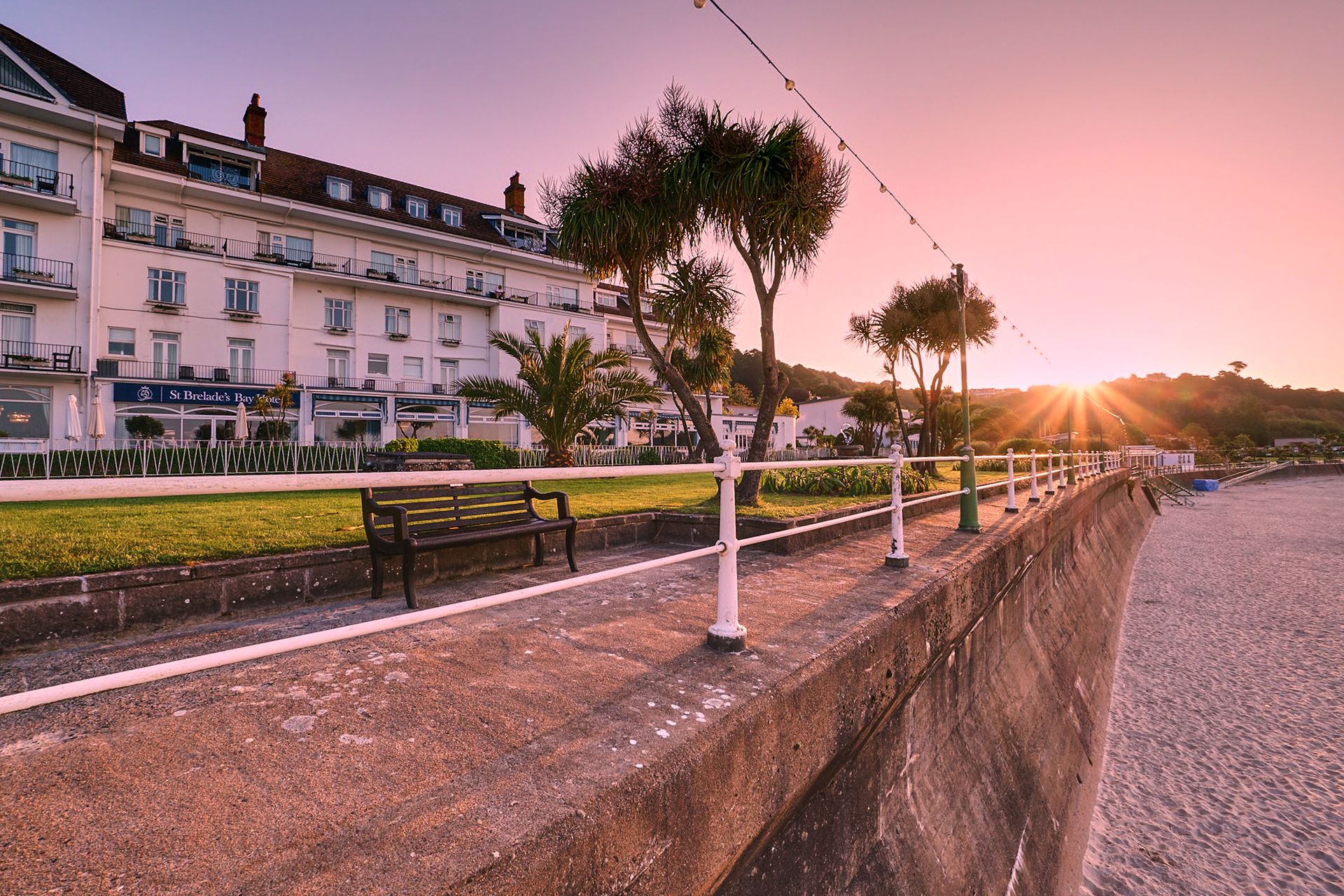 Brand Consultant Liz Taylor