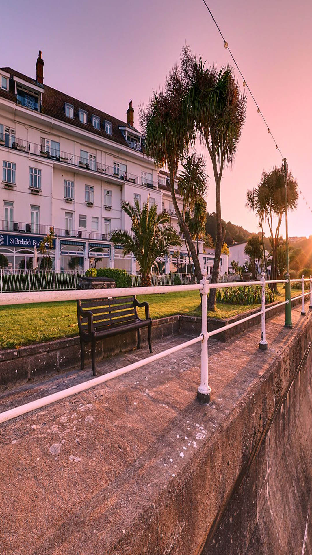 Liz Taylor Consulting Hospitality Consultant